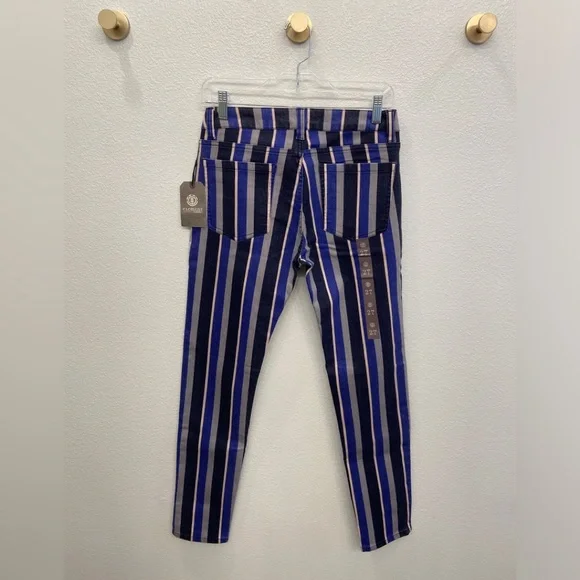 NWT - Element Eden Striped Denim Navy Black Grey Skinny Jeans Size 27 - Picture 4 of 11